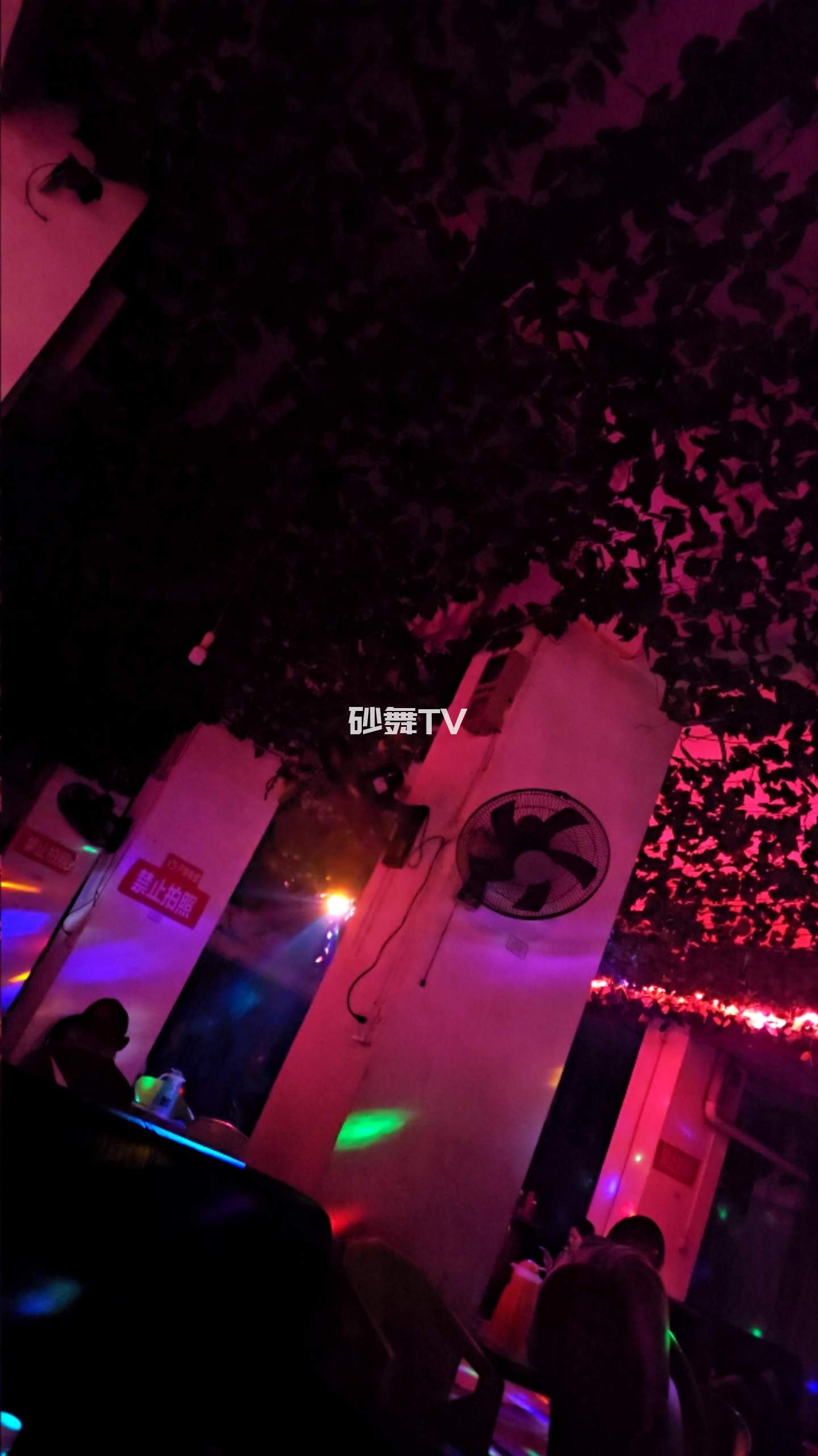 资中夜语酒吧